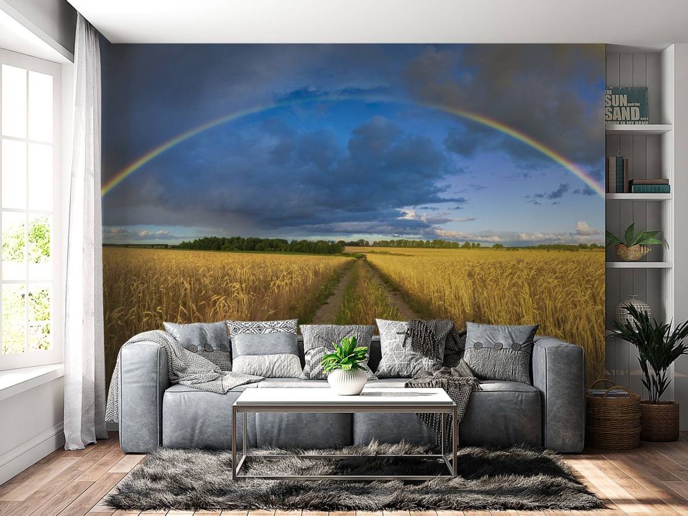 Regenboog over een graanveld