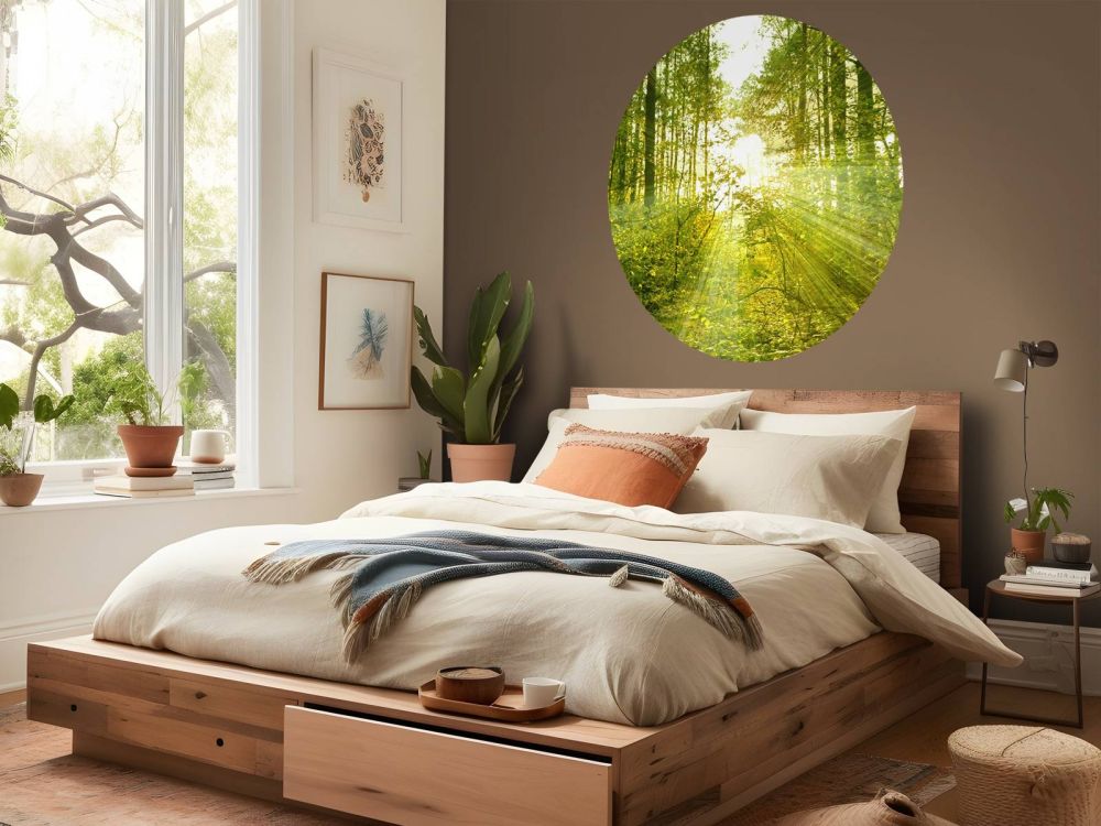 Zonnestralen in een groen bos
