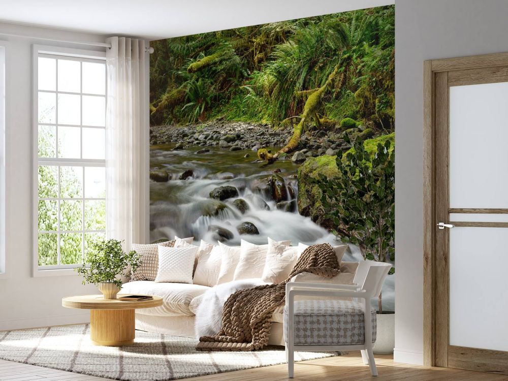 Groen rotsblok met riviertje 