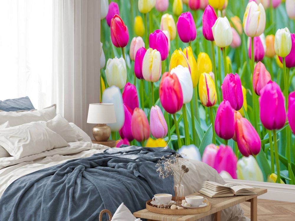 Kleurrijke tulpen in een veld