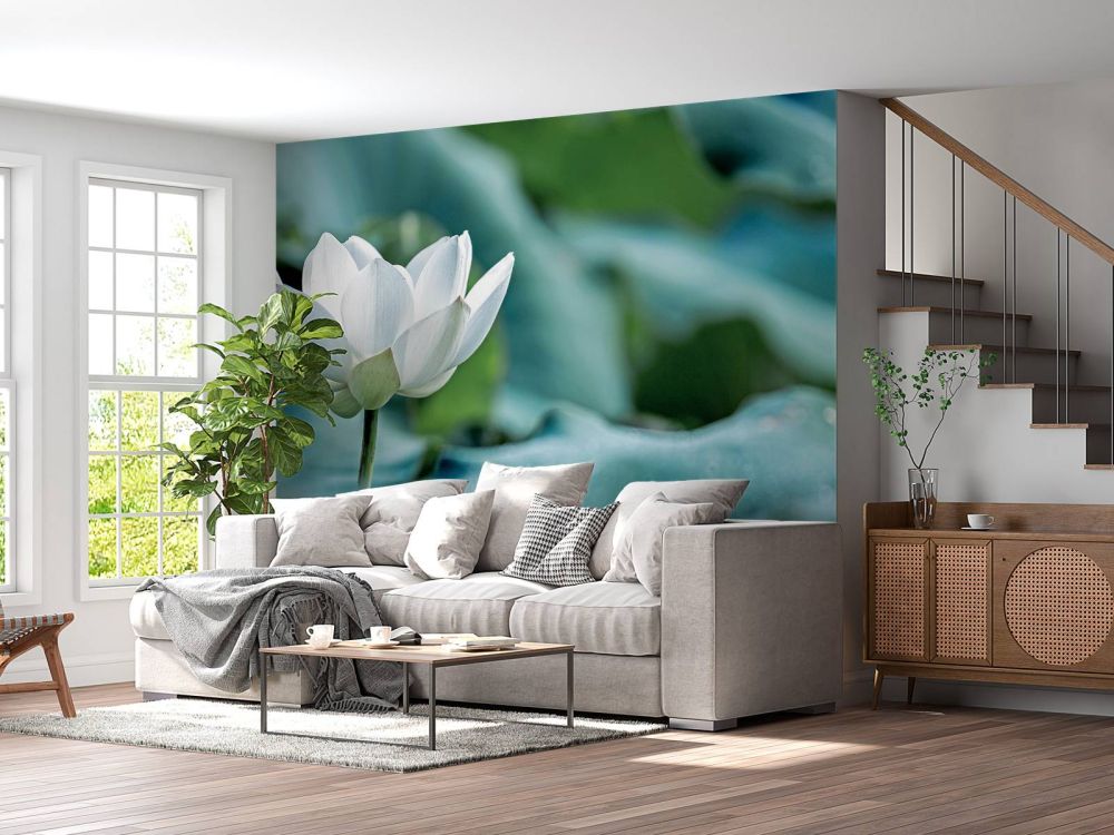 Witte lotusbloem