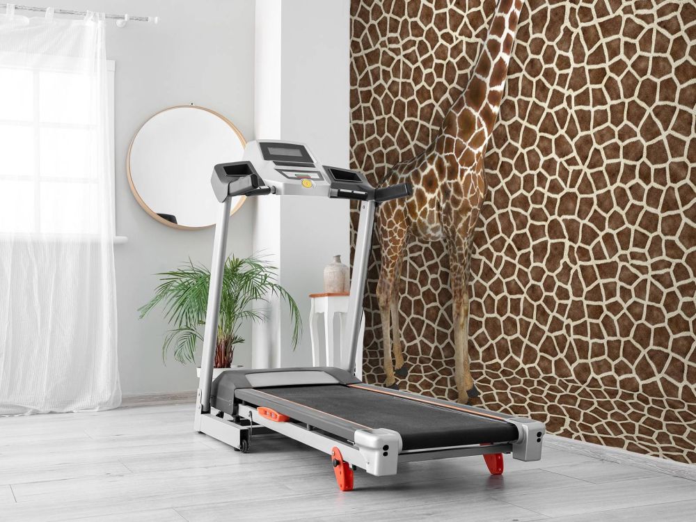 Gecamoufleerde giraffe