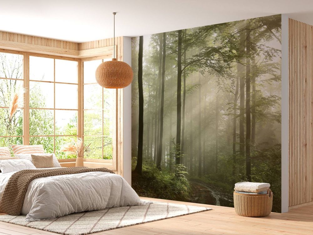 Groen bos in de mist