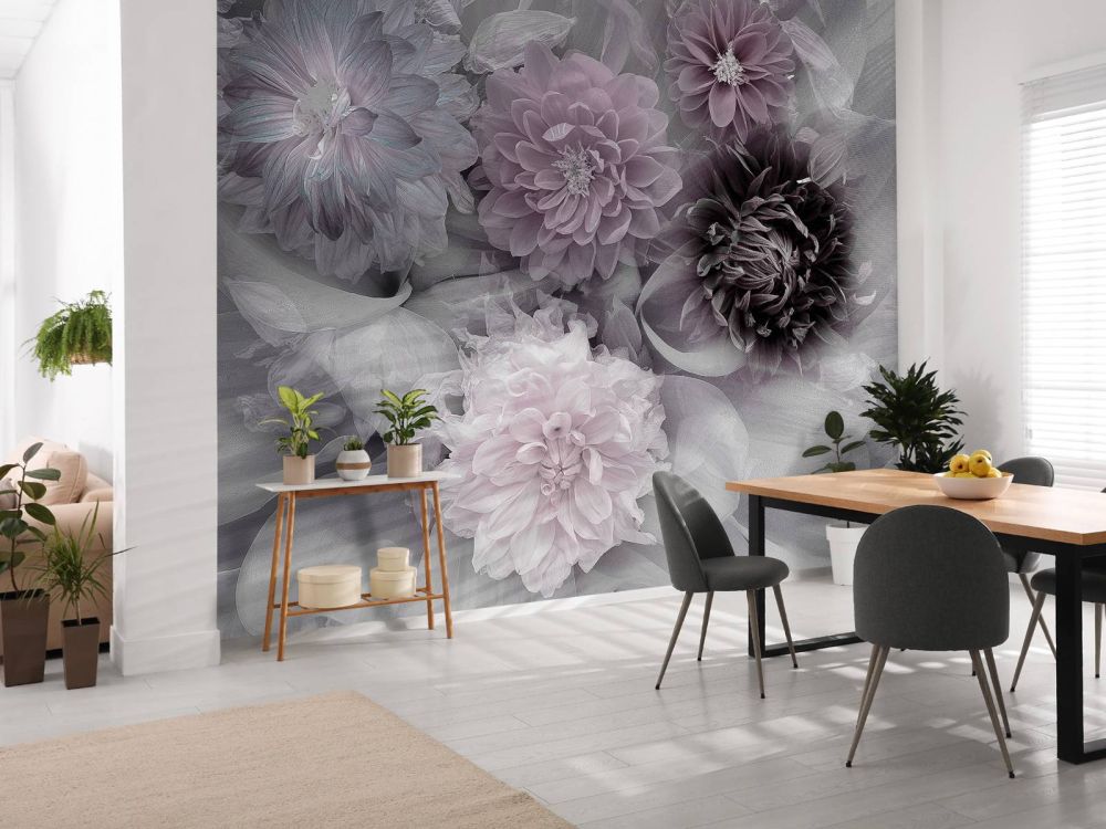 Dahlia dream
