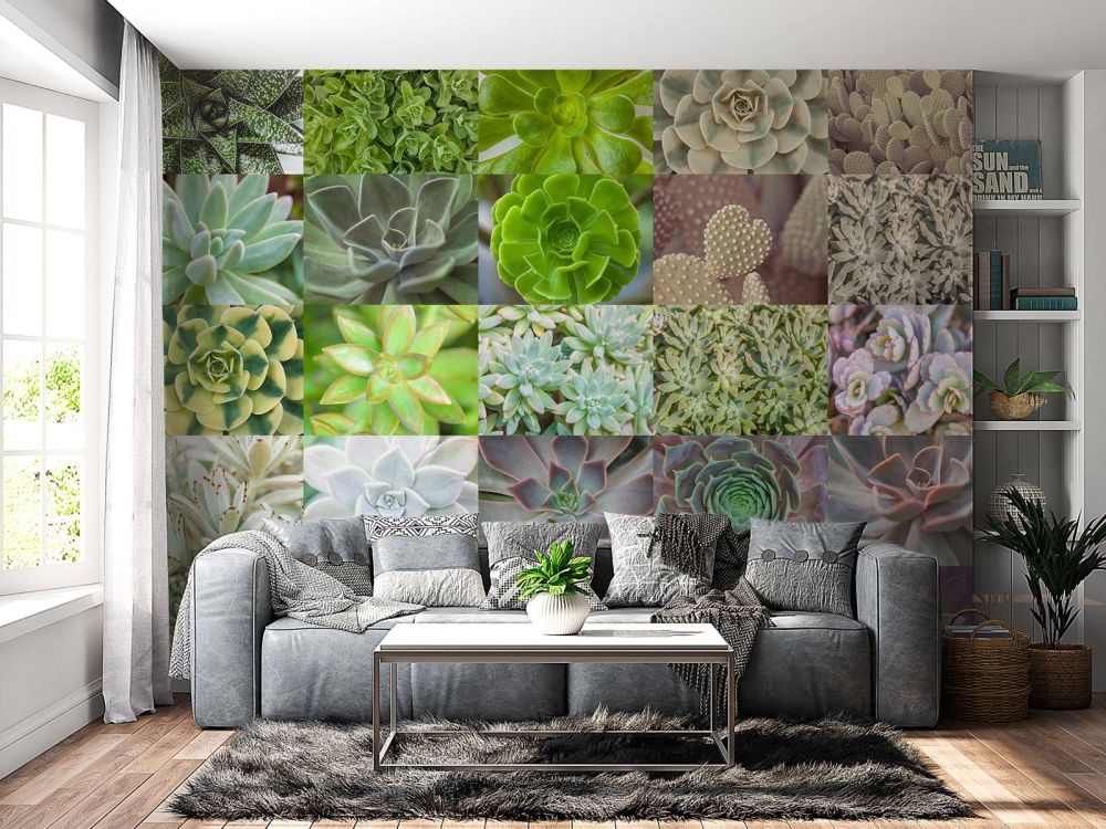 Vetplanten collage