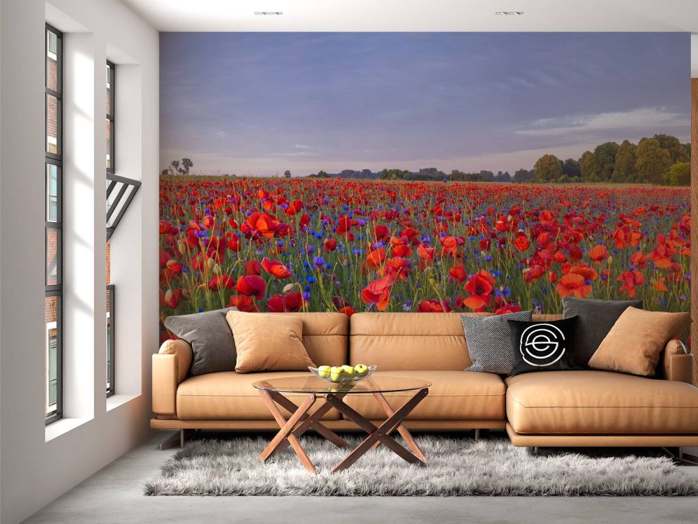 Blauwe bloemen en rode Klaprozen