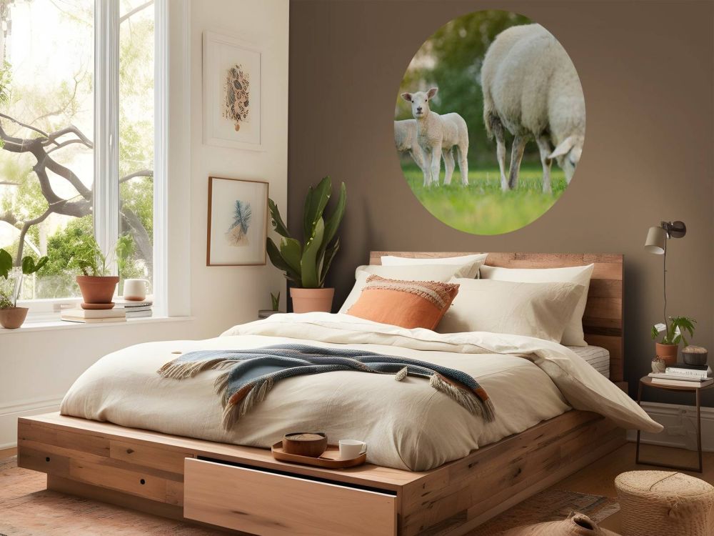 Moeder schaap met lammetjes