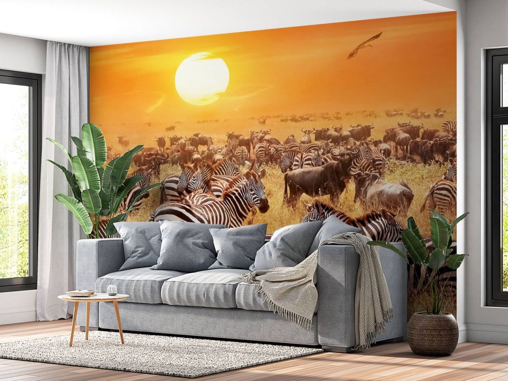 Savanne zon met zebra's