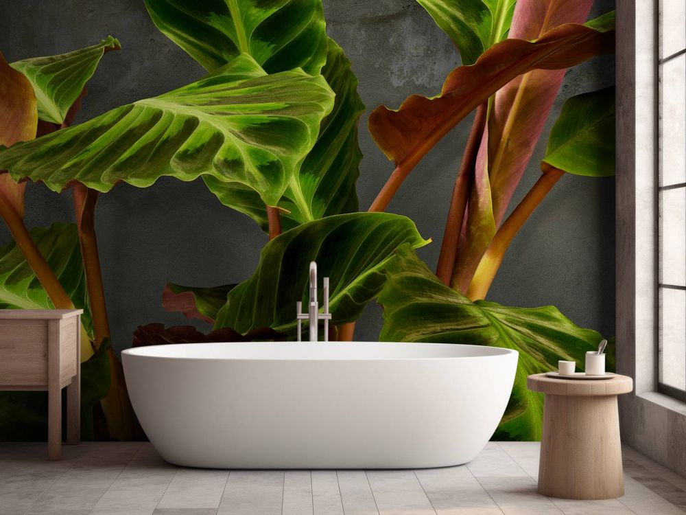 Plant met mooie groene bladeren