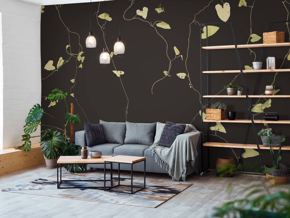 Haagwinde ebony