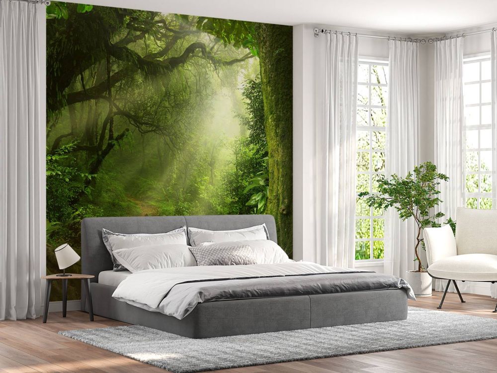 Jungle met zonnestralen
