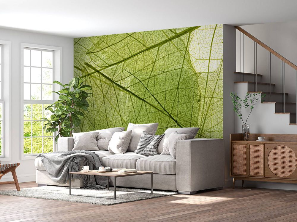 Behang met groene bladeren 