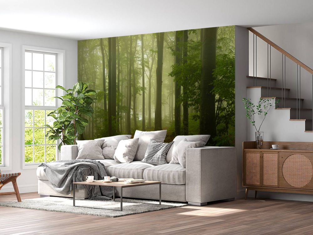 Pad door mistig groen bos