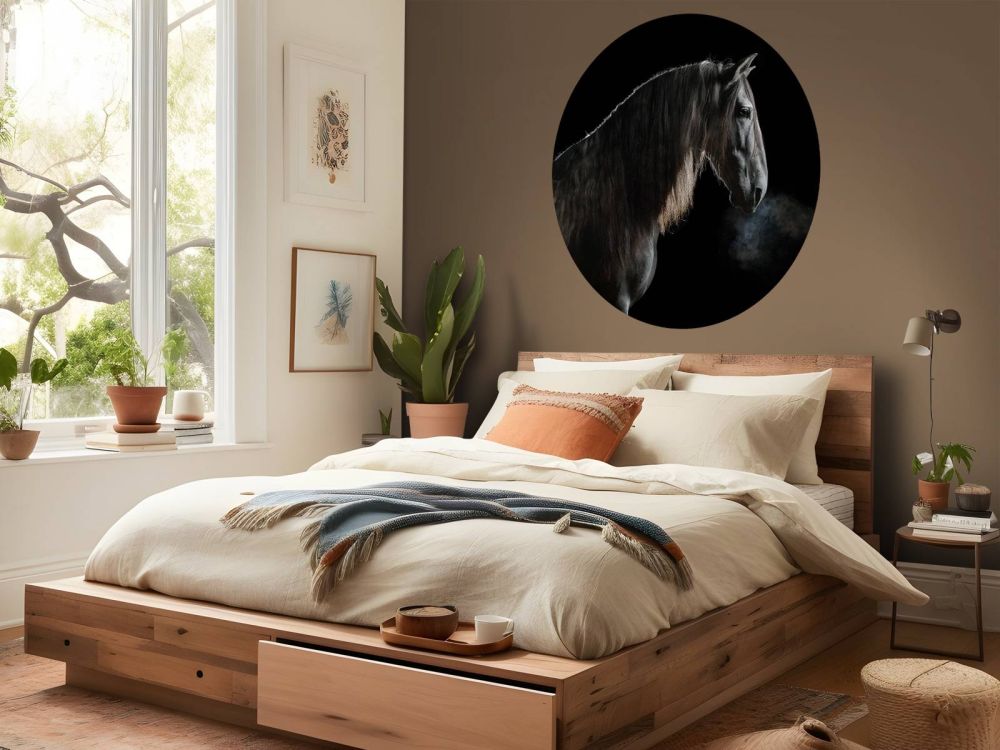 Schimmel met zwarte achtergrond