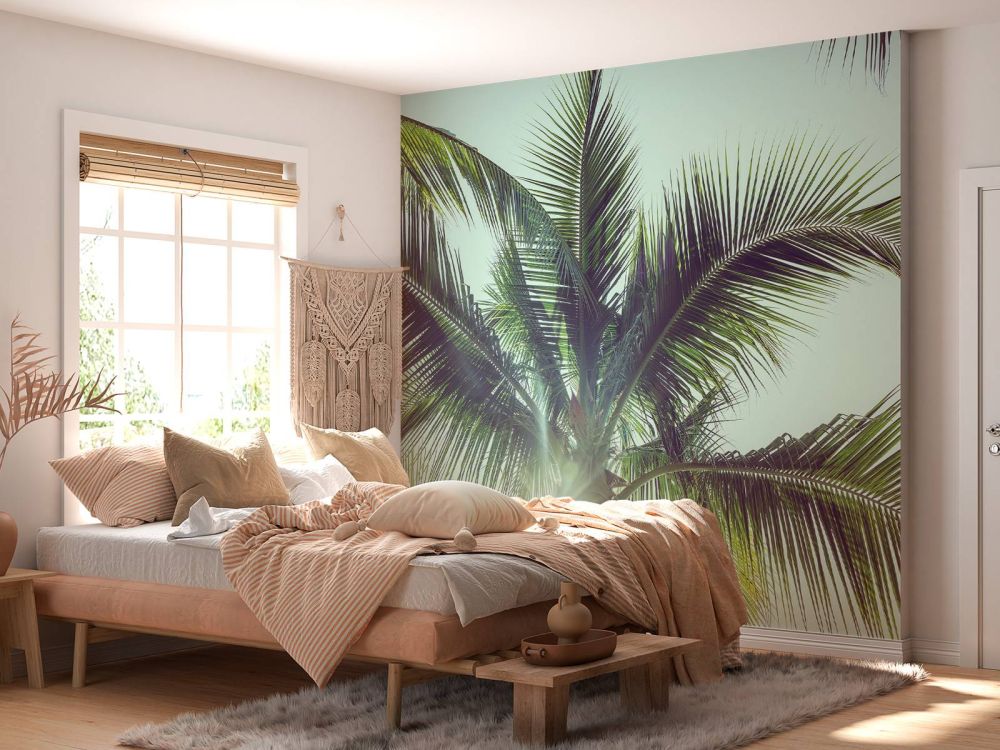 Palmbomen in de zon