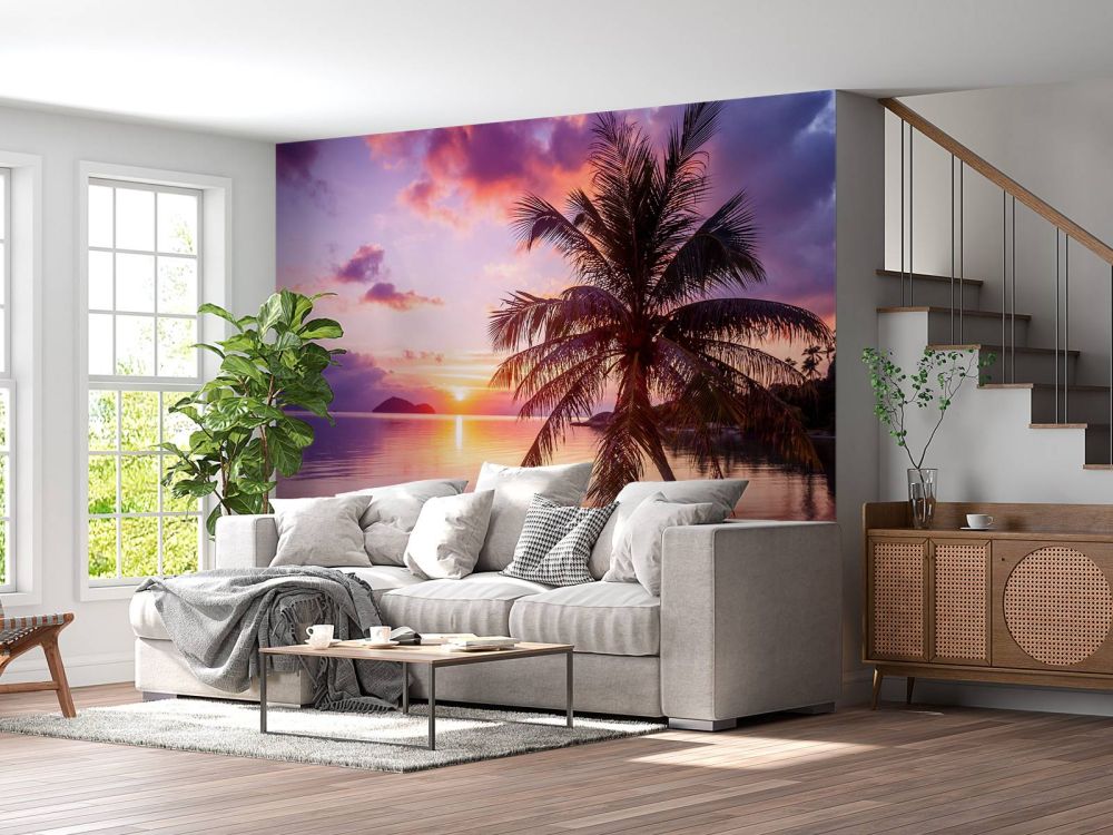 Palmboom bij een zonsondergang