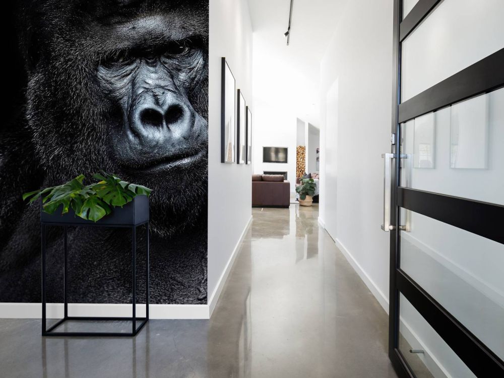 Gorilla