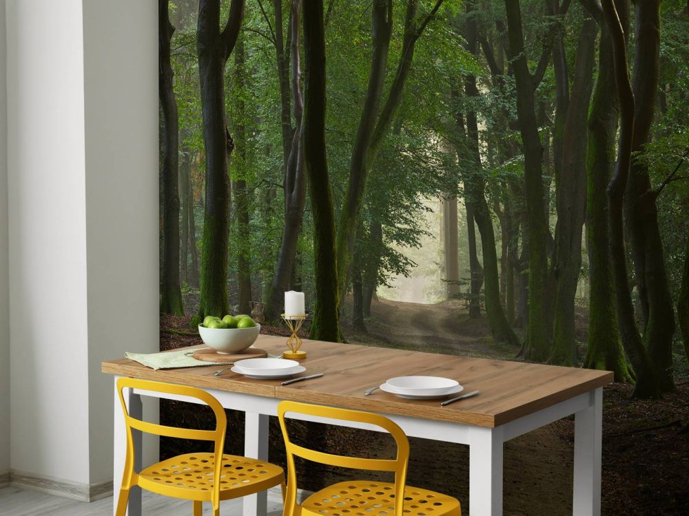 Zandpad in het bos