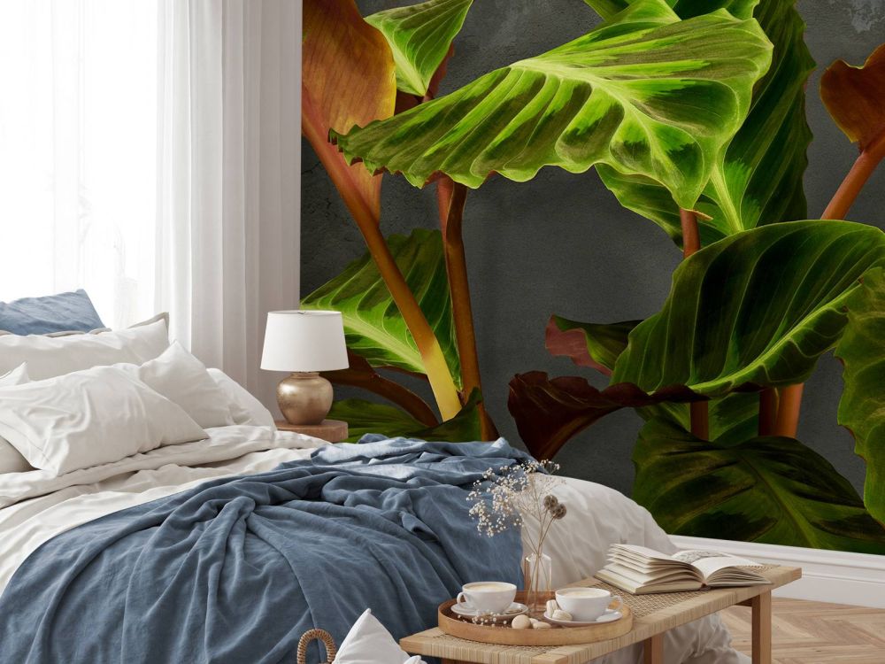 Plant met mooie groene bladeren