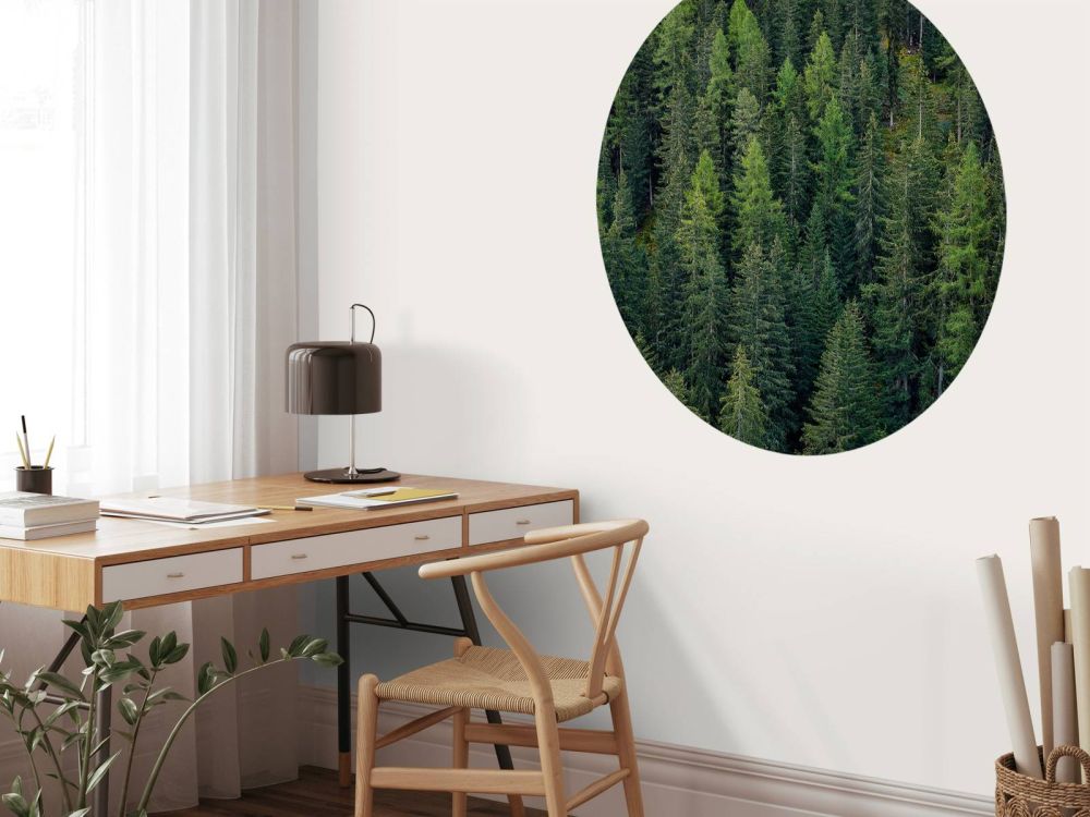 Groen sparrenbos