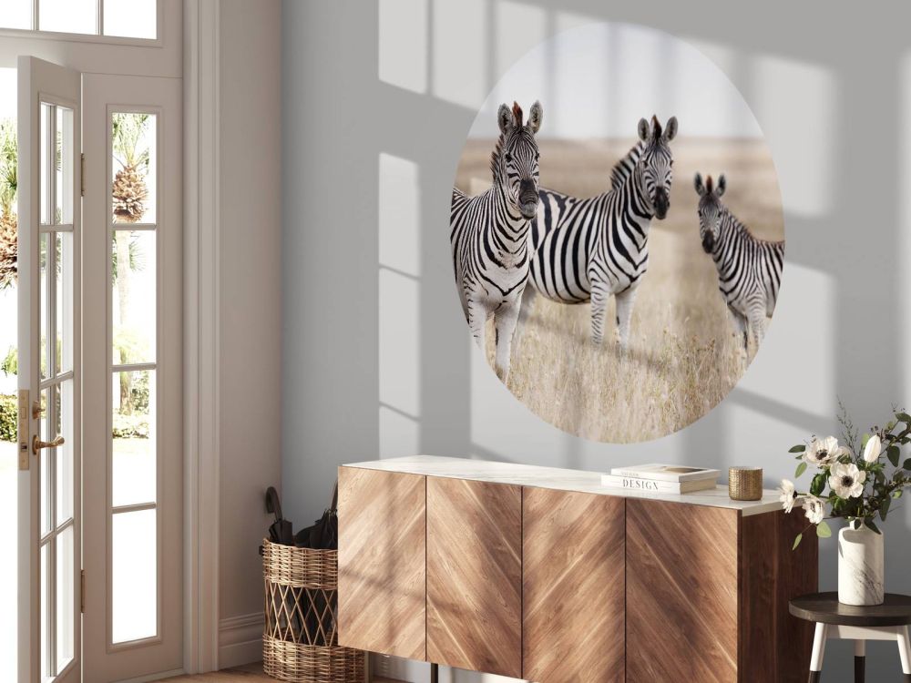 Zebra's in de natuur