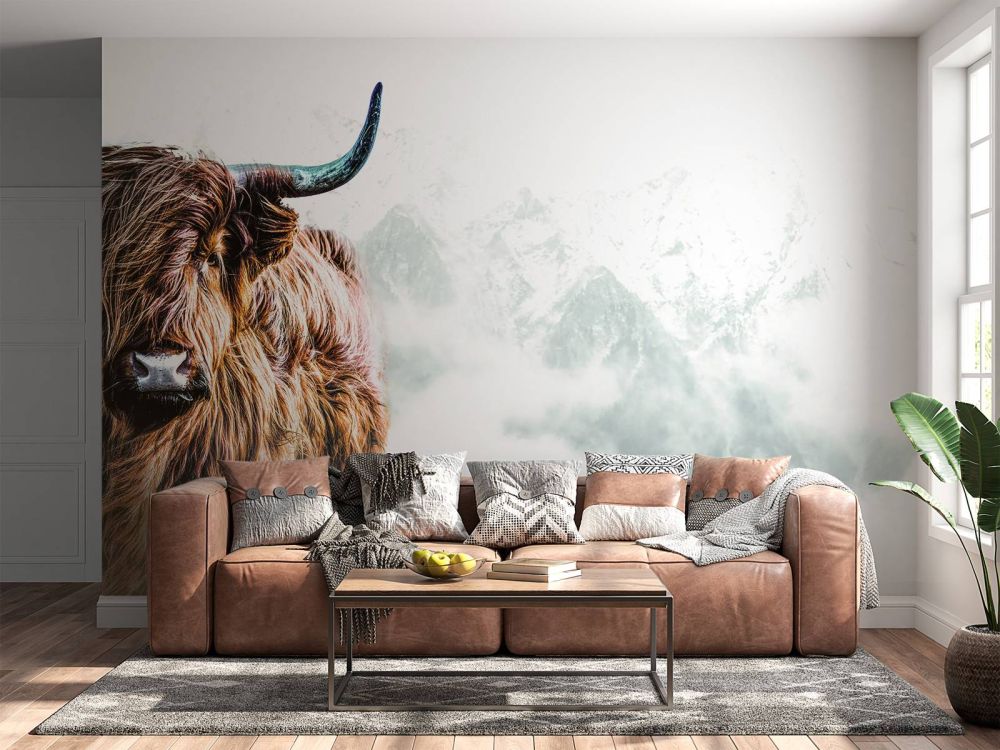 Scottish Highlander