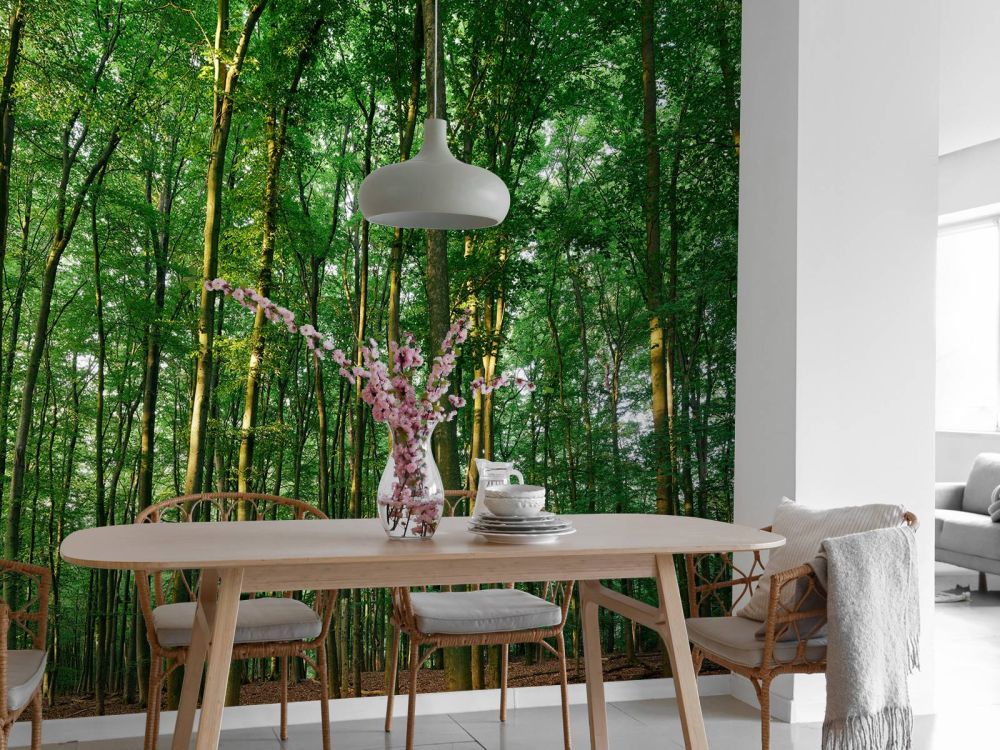 Groen bos 