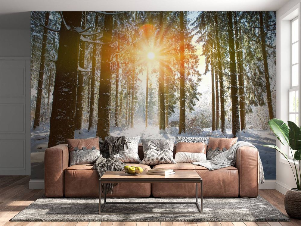 Zonlicht in het winterbos