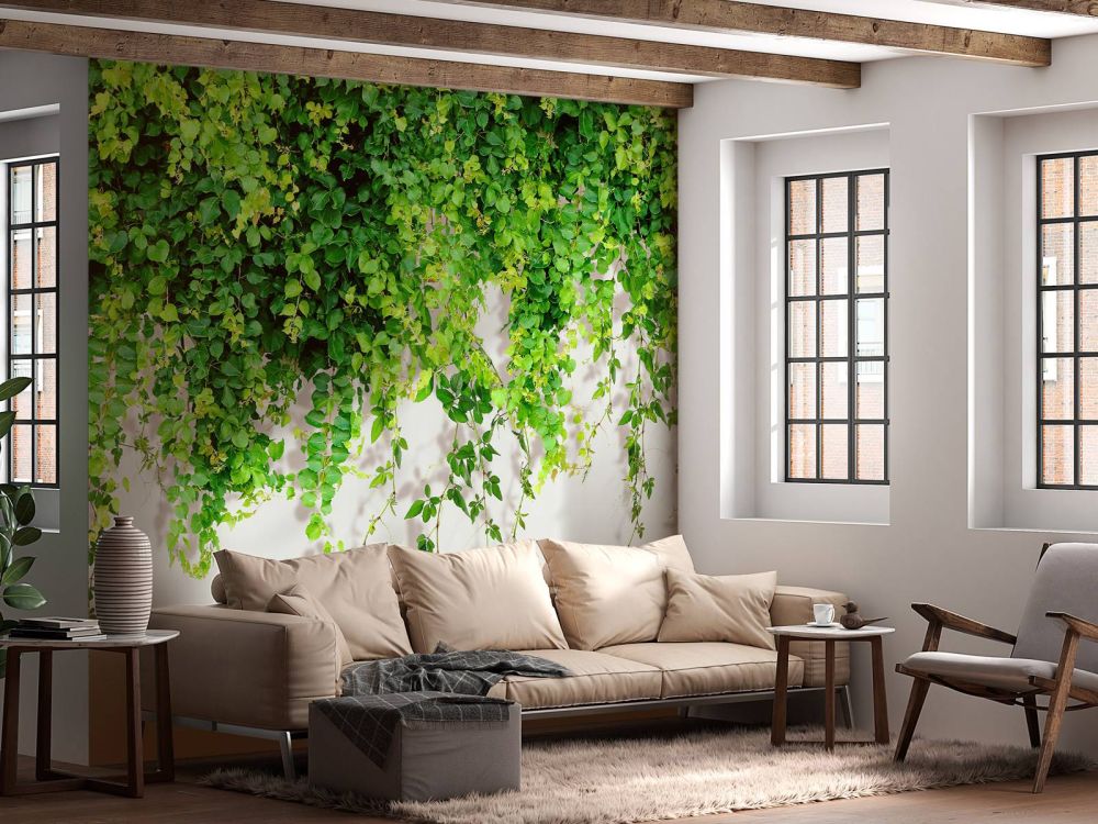 Groene hangende takken