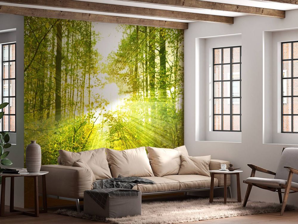 Zonnestralen in een groen bos