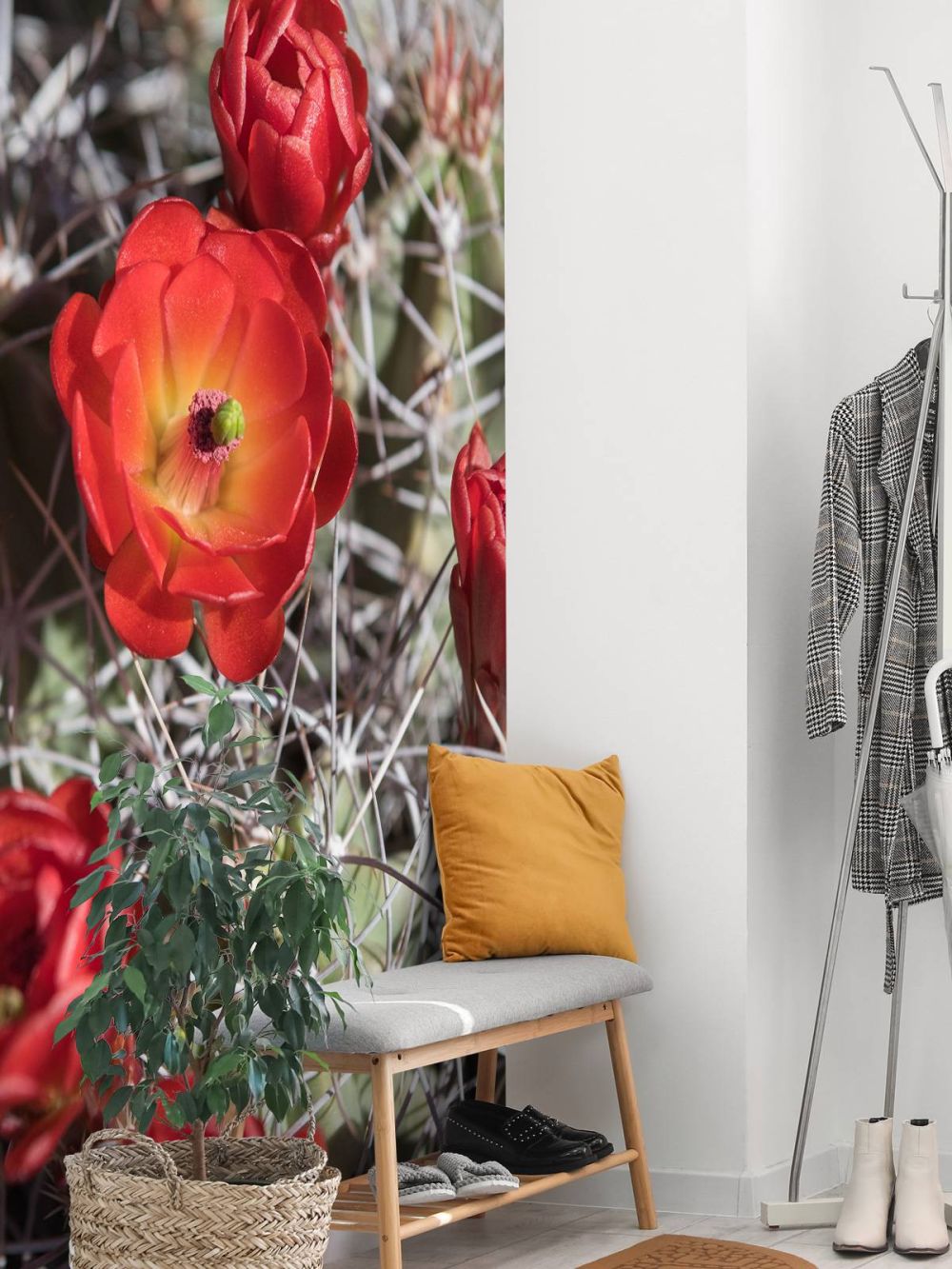 Rode cactus bloemen