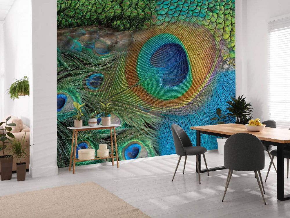 Pauwenveren op fotobehang