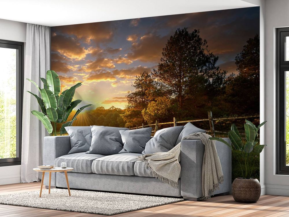 Weiland met zonsondergang