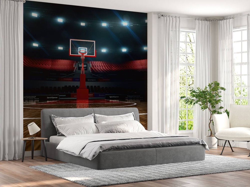 Basketbal arena