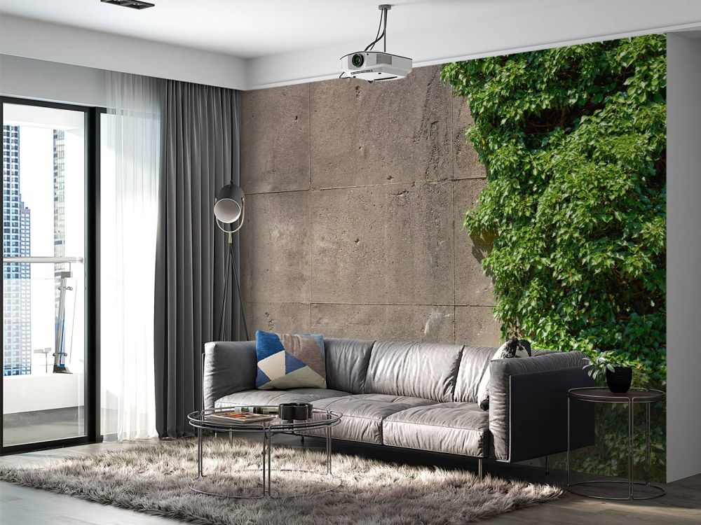 Beton met struik 