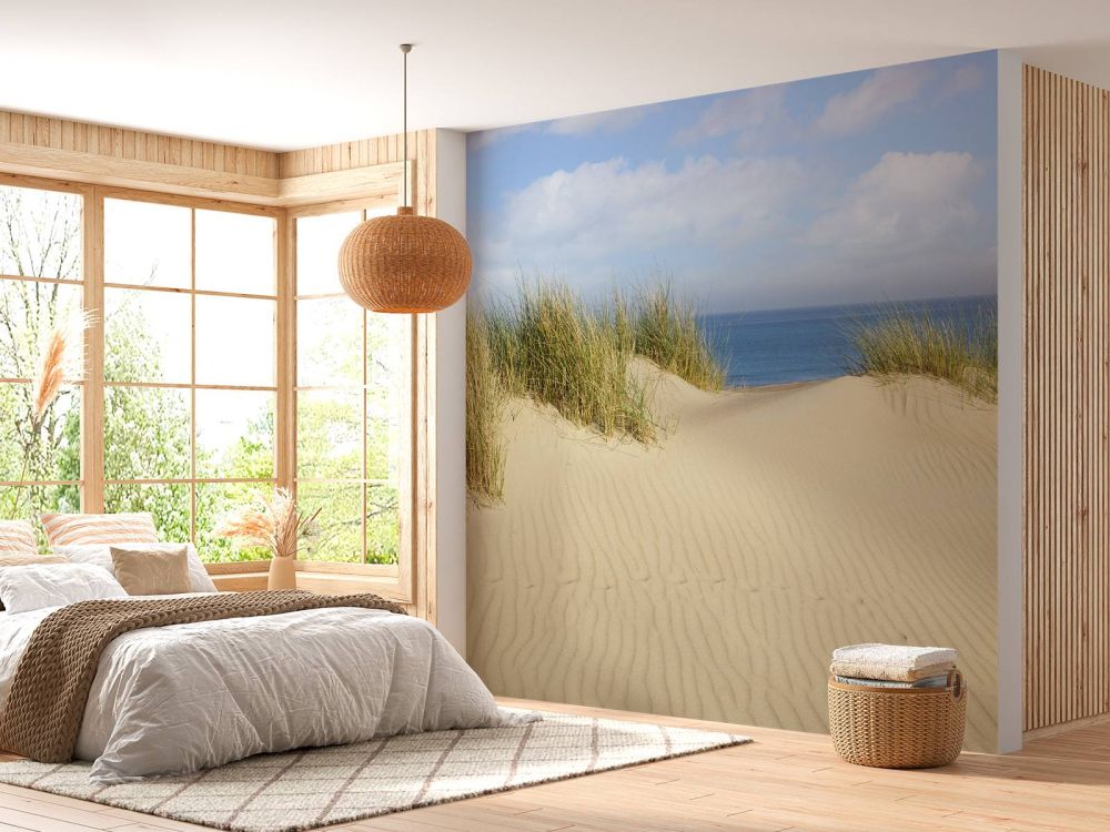 Duin doorgang naar het strand