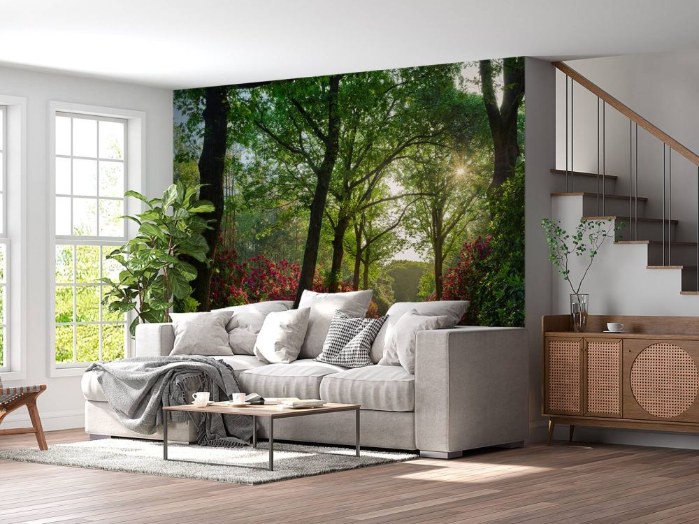 Zonsopkomst bij pad met rhododendrons