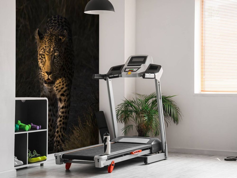 Luipaard met zonsondergang