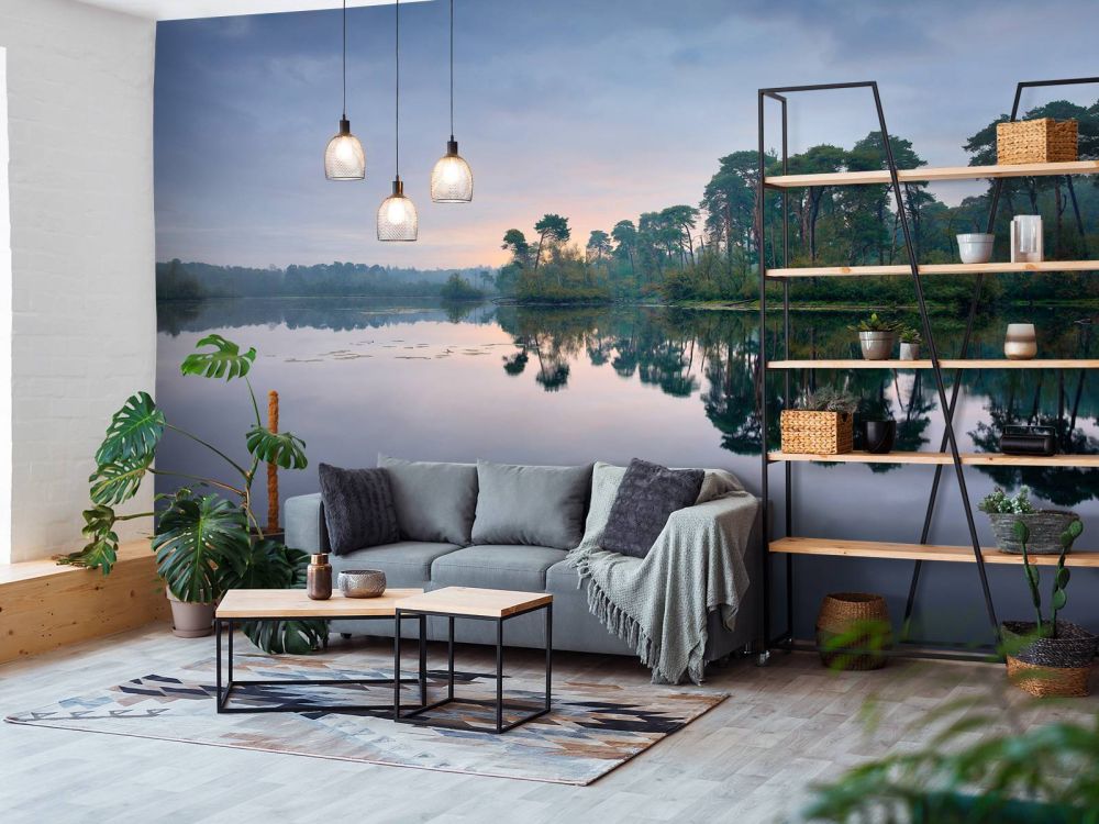 Weerspiegeling in bossen bij zonsopkomst