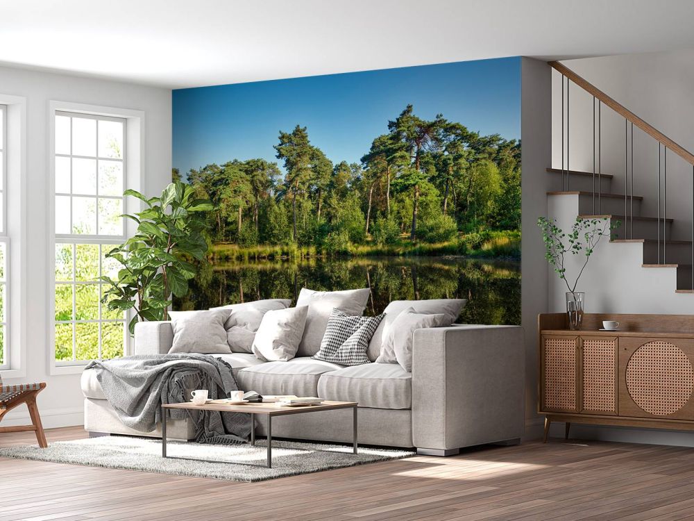 Weerspiegeling in bosven
