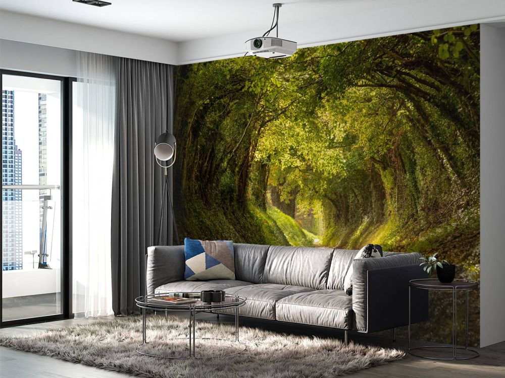 Halnaker boomtunnel