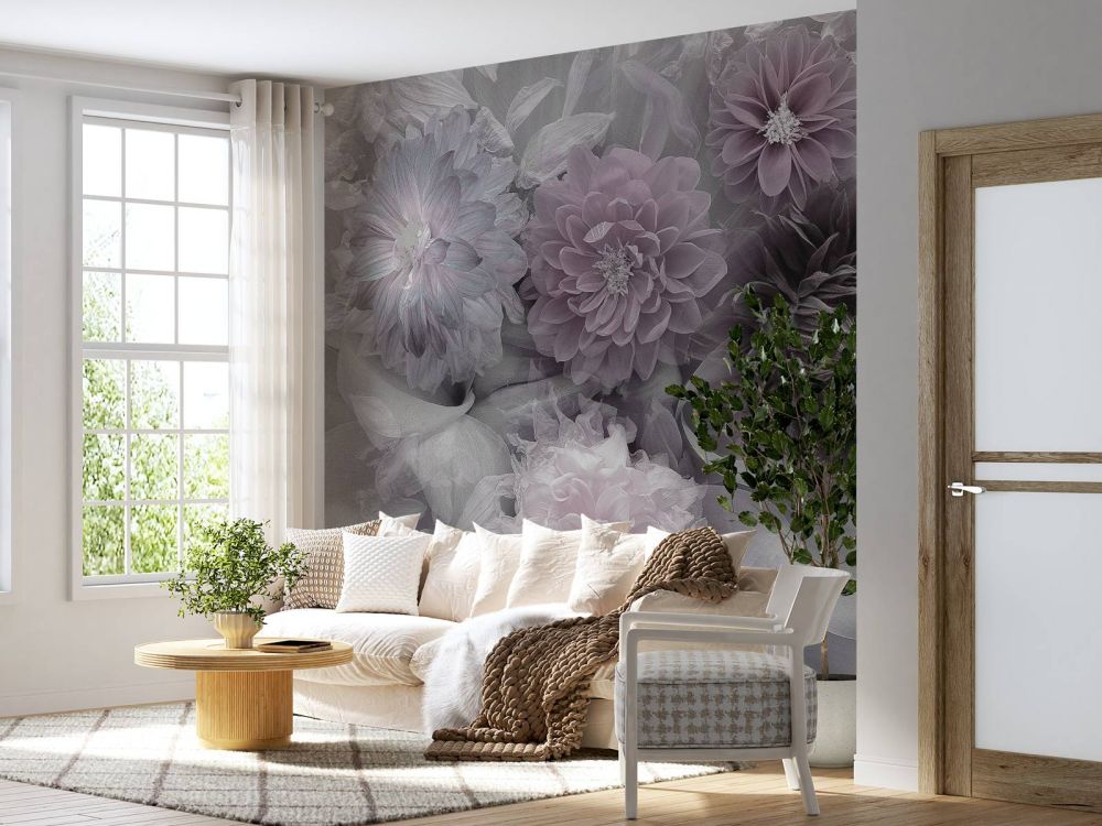 Dahlia dream