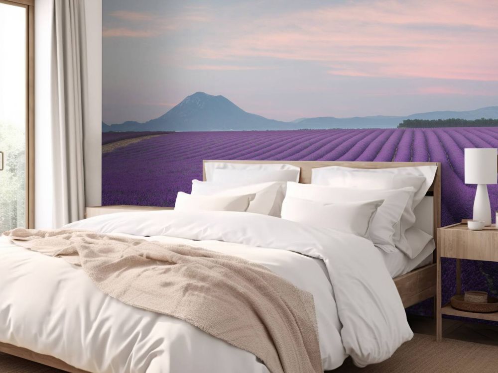 Lavender field