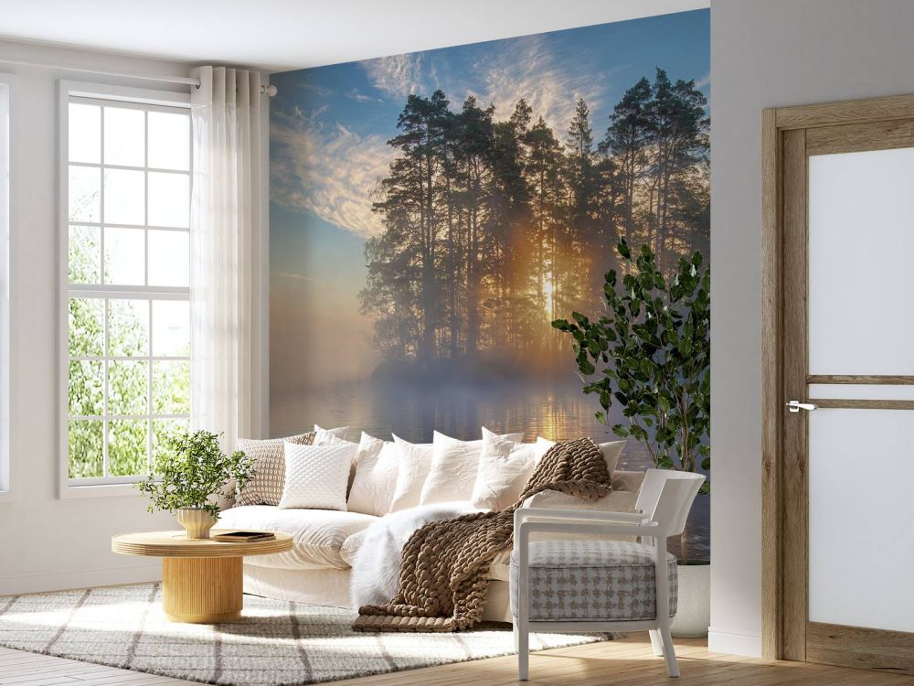 Morning light