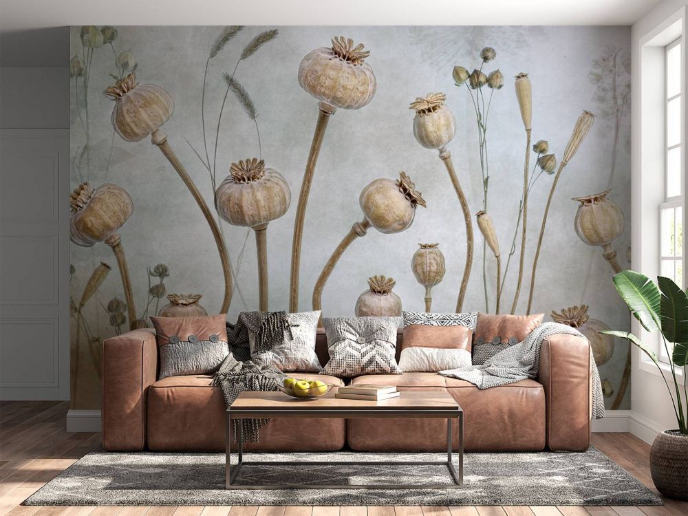 Papaver
