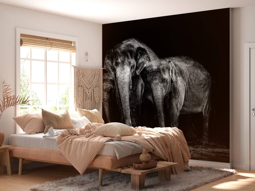 Zwart wit foto van olifanten