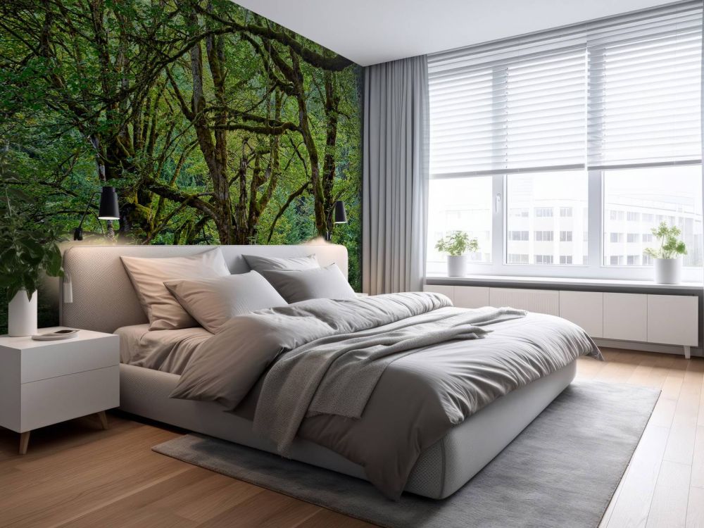 Oude bomen 