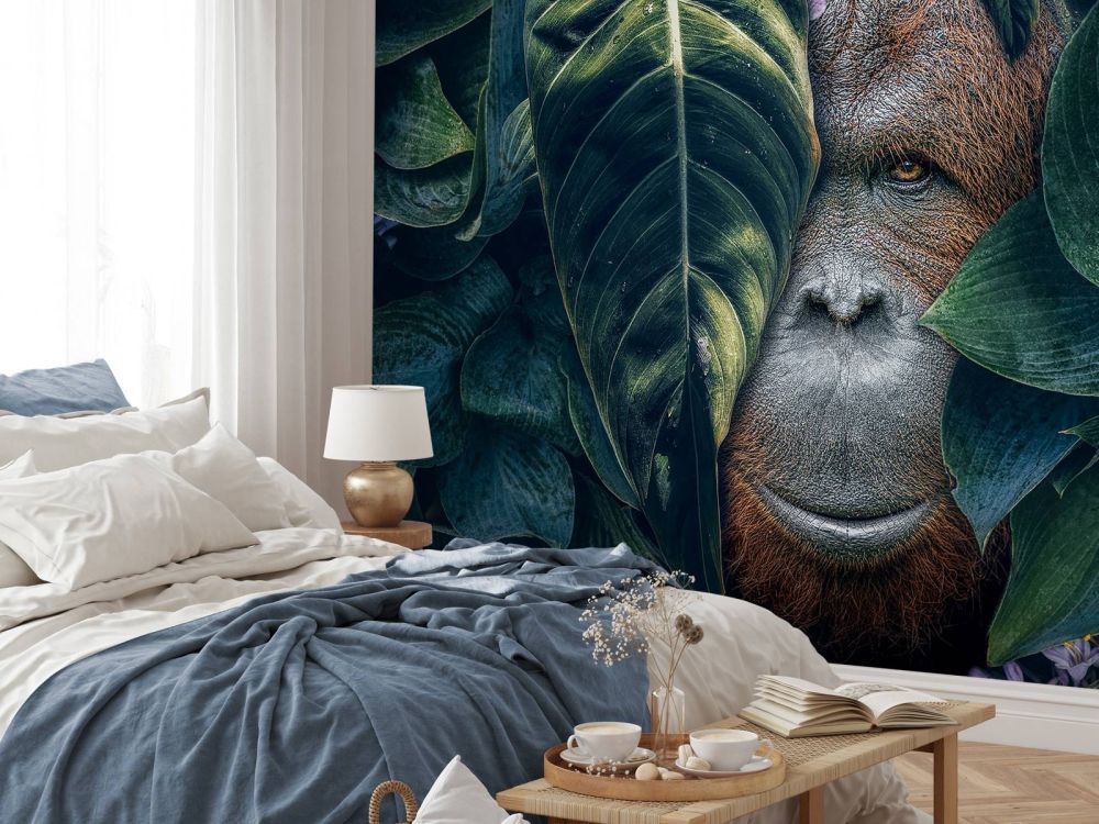 Jungle Orangutan