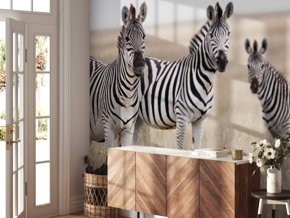Zebra's in de natuur
