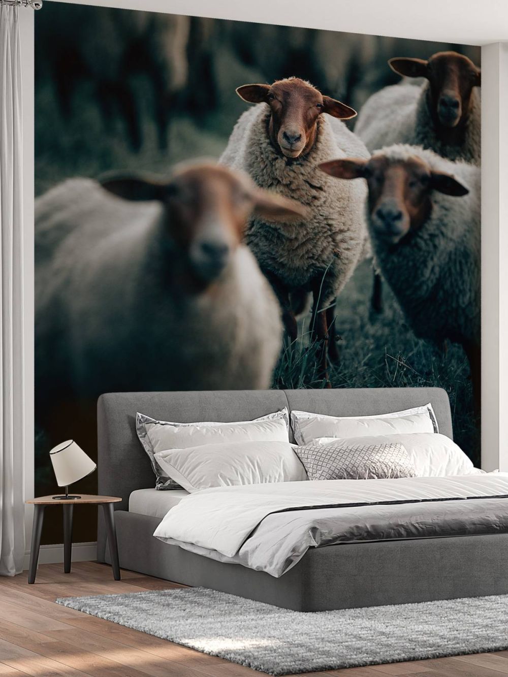 Blije schapen